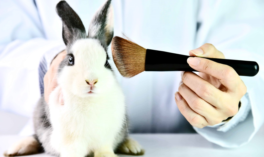 Ways to End Animal Testing of Cosmetics Semillas Oceano